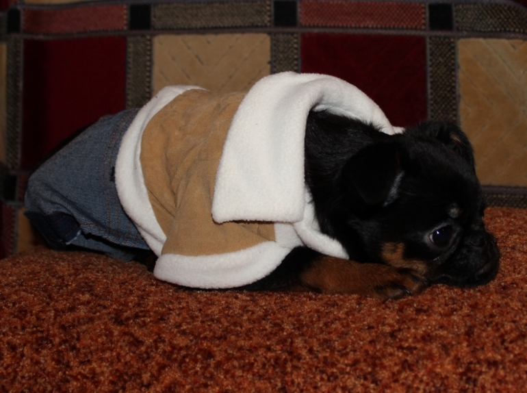 Бонифацию пол годика:)