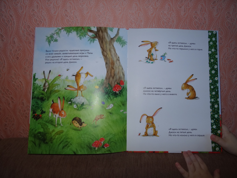 Книга, которую любит Лиза