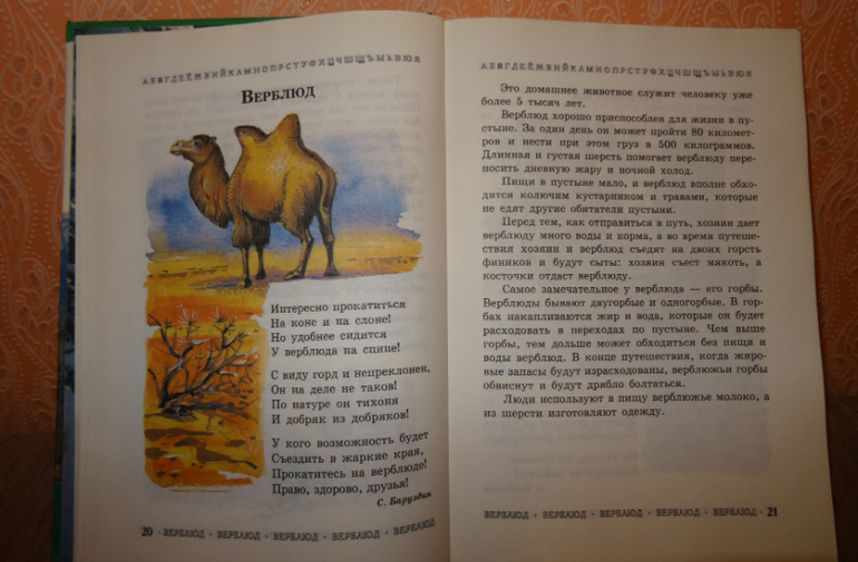 Книга про животных