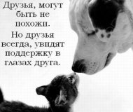 Продолжение флешмоба!!!!!