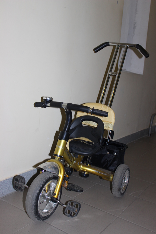 Детский велосипед Lexus Trike Original 2500