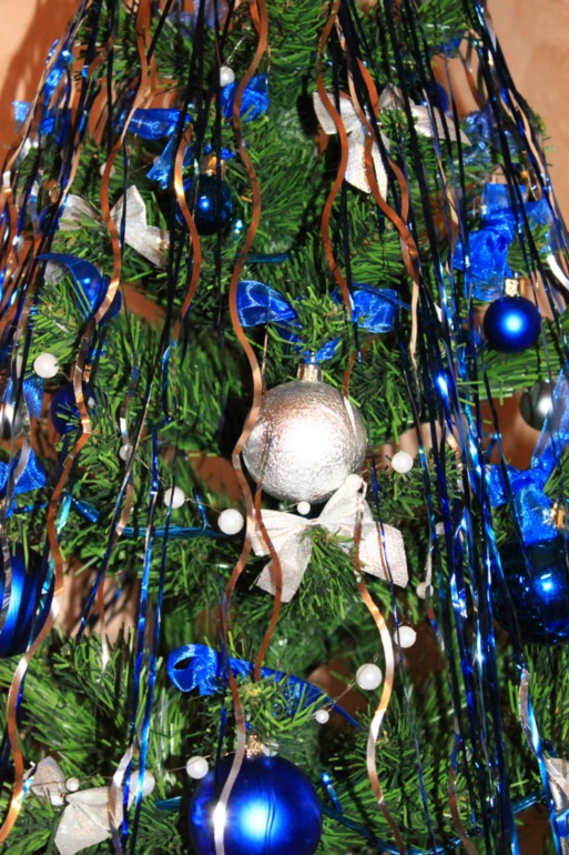 Наши елочки-красавицы )))