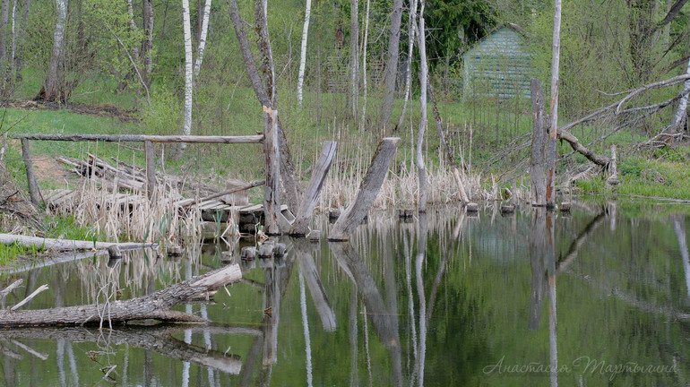 Контрольное задание № 24. Корректирование снимка с помощью нейтрального цвета, а так же черной и бел