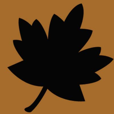 Контрольное задание № 10. Использование быстрой и обтравочной масок