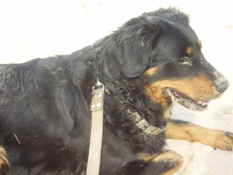 Рэда-радость наша!