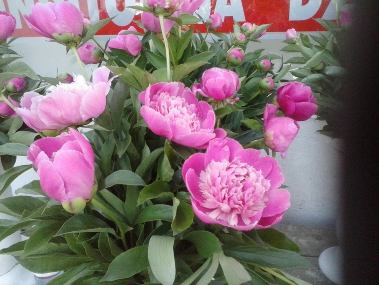 Хочу скорее лето!!!