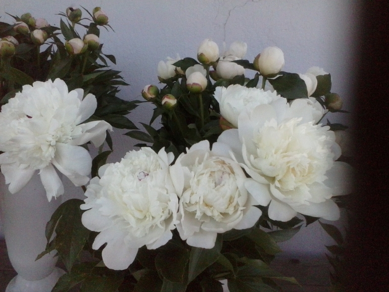 Хочу скорее лето!!!