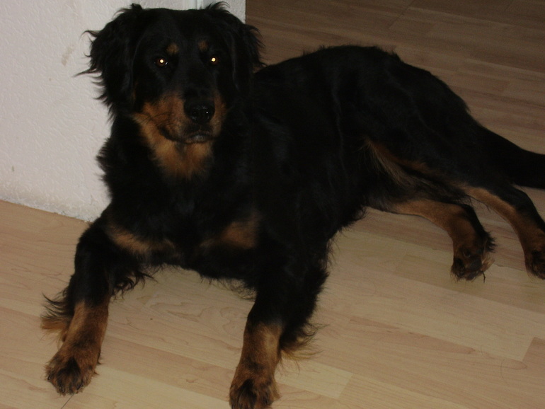 Рэда-радость наша!