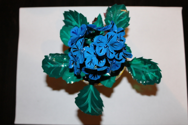 Фиалки в садик