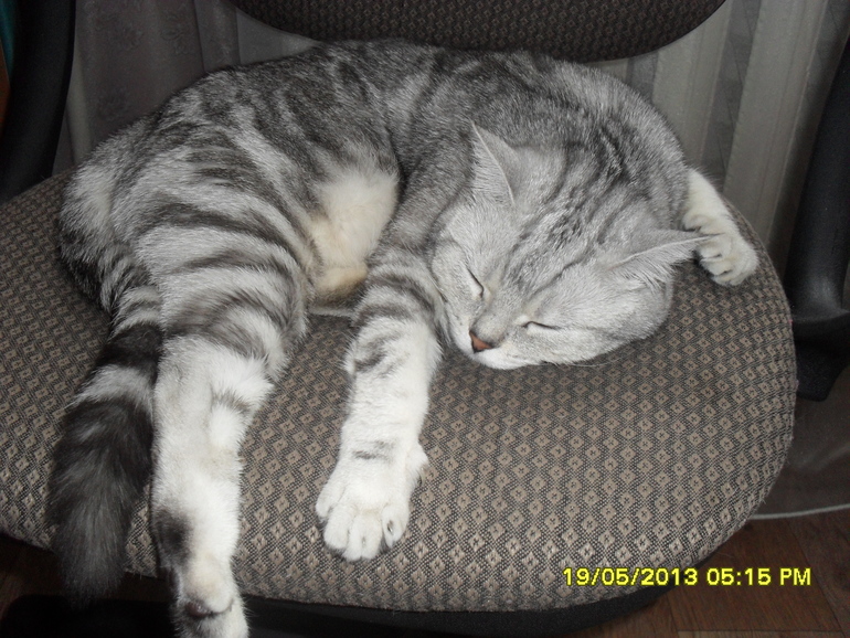 Жду с нетерпением.....