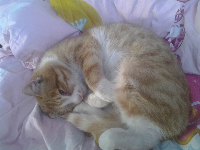 Кто не спрятался?