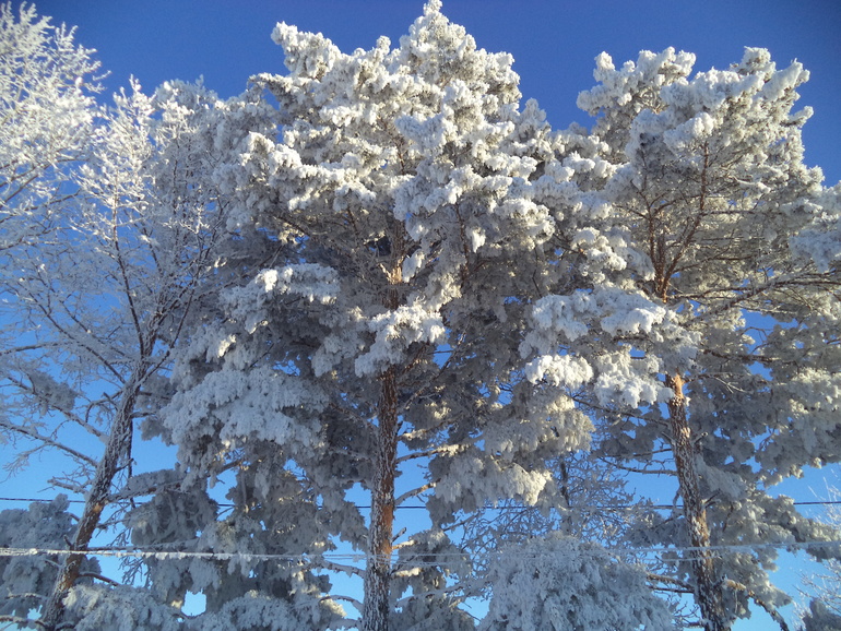 Русская сказка!