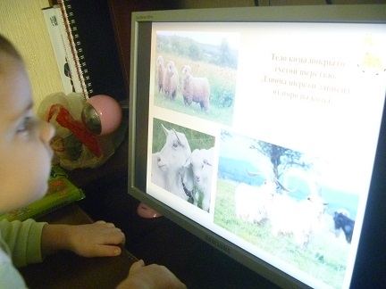 ТН Домашние животные. Овца, коза, свинья