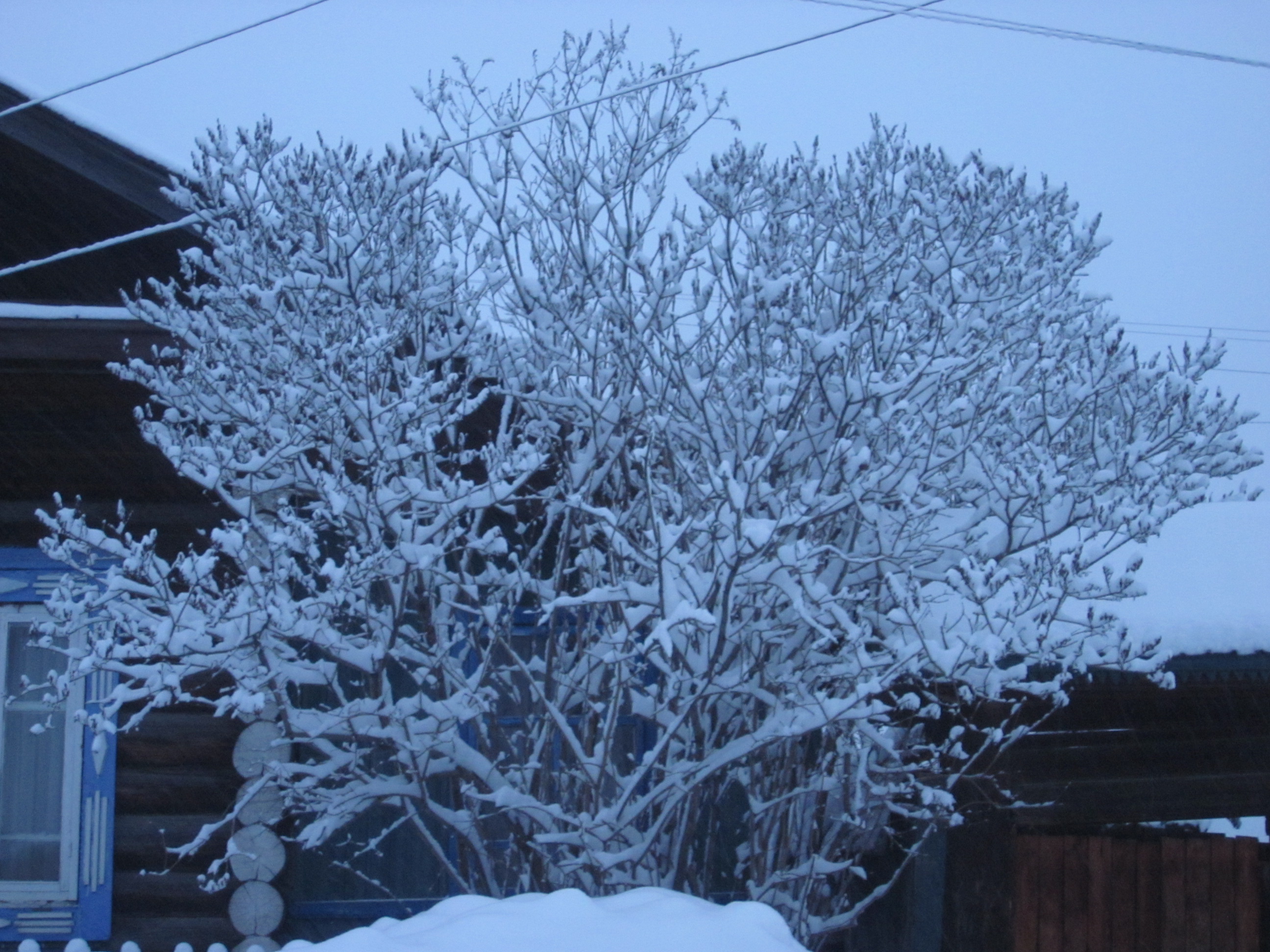 Вот токое 19 марта