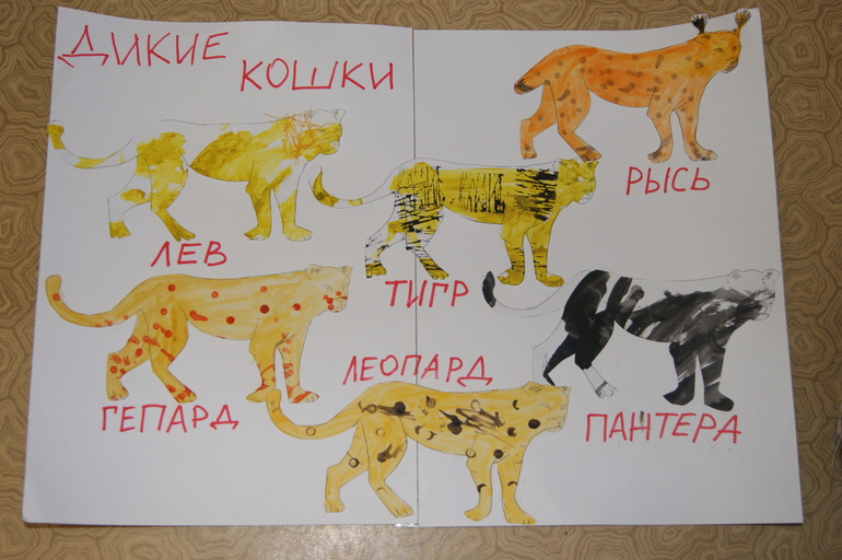 ТН Дикие кошки (отчеты)