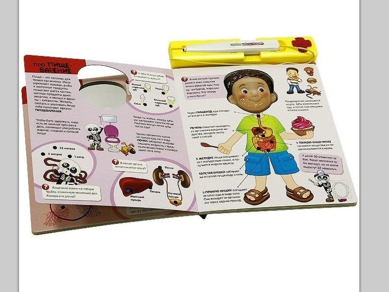 Подборка всяких пособий по анатомии.