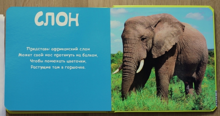 Отличные фотокнижки для малышей