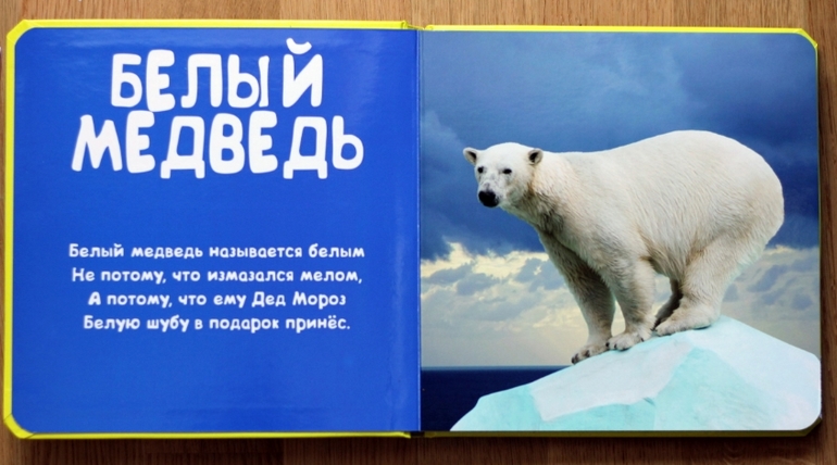 Отличные фотокнижки для малышей