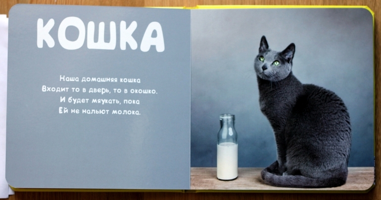 Отличные фотокнижки для малышей