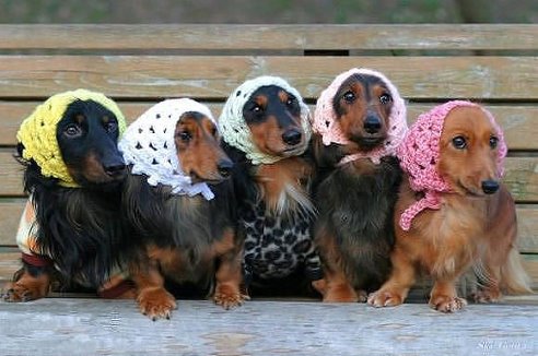 для настроения:)