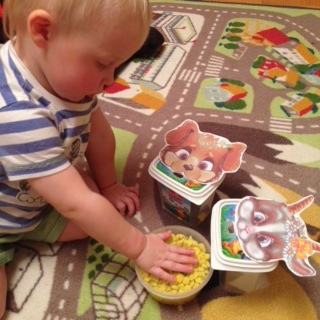 домашние животные ( отчет )