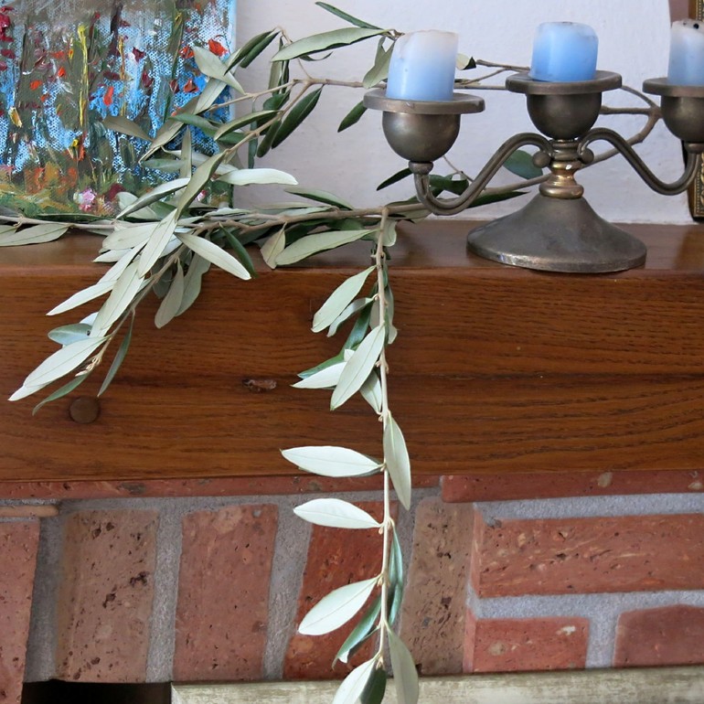 В саду дали пальмовую ветвь