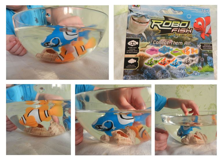 Home, Sweet Home. 23 марта. Обыкновенное чудо