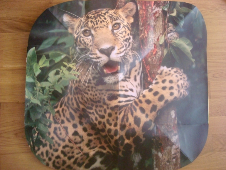 Большой книжный май. Часть 1-я.