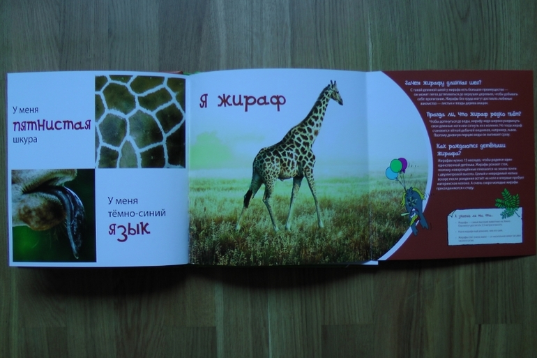 А у нас опять книжное пополнение...