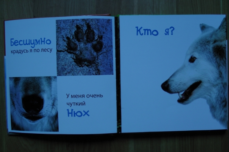 А у нас опять книжное пополнение...