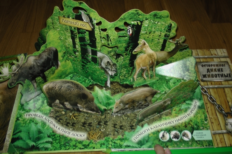 Первые летние приобретения: серьезные и не очень. Или: кто ищет - тот всегда найдет!!!