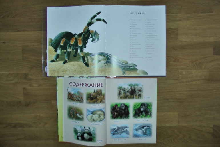 Первые летние приобретения: серьезные и не очень. Или: кто ищет - тот всегда найдет!!!