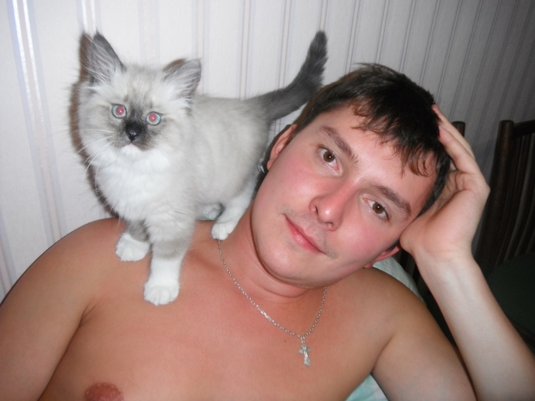 Моя любимая кошечка