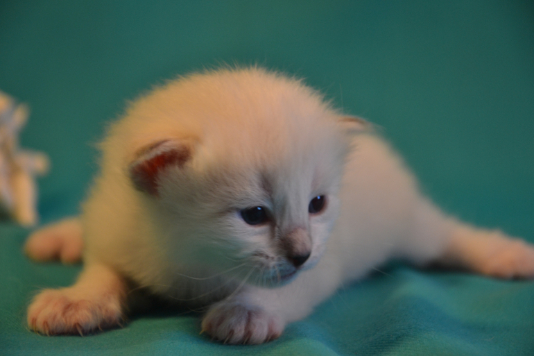 Наши малыши