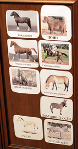 ТН Лошади (реальные и фантастические, волшебные)