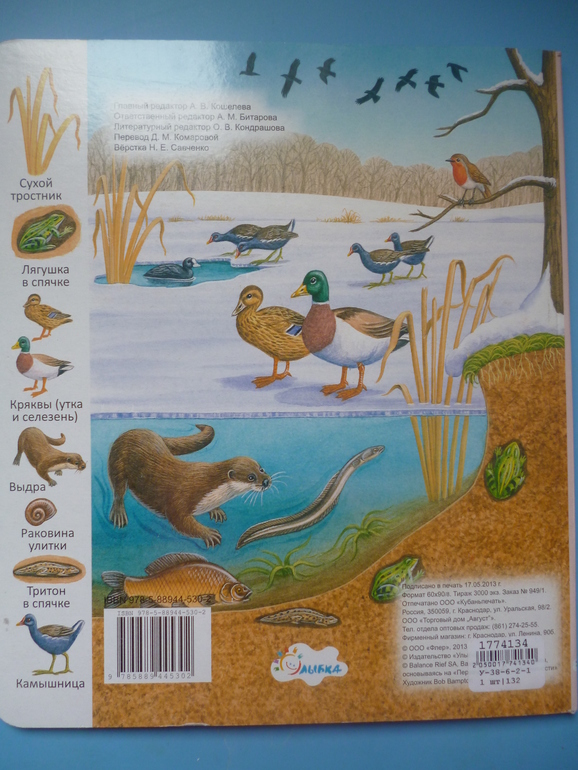 Первые книги малыша. Учим новые слова (бюджетные гляделки, много фото)