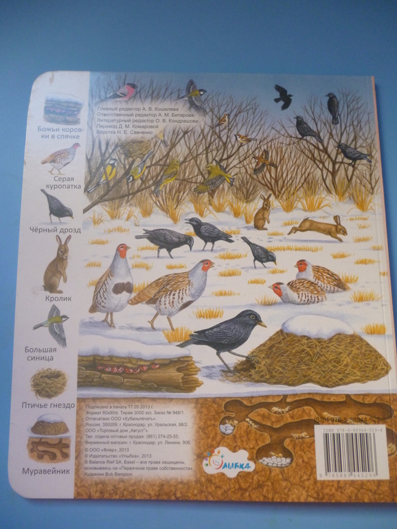 Первые книги малыша. Учим новые слова (бюджетные гляделки, много фото)