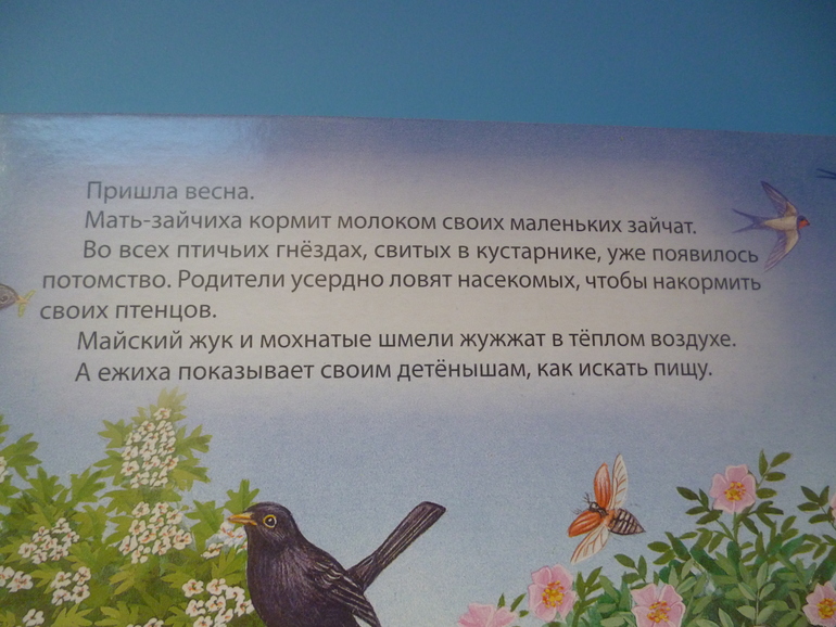 Первые книги малыша. Учим новые слова (бюджетные гляделки, много фото)