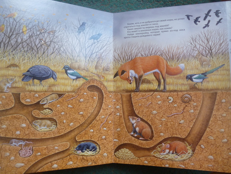 Первые книги малыша. Учим новые слова (бюджетные гляделки, много фото)