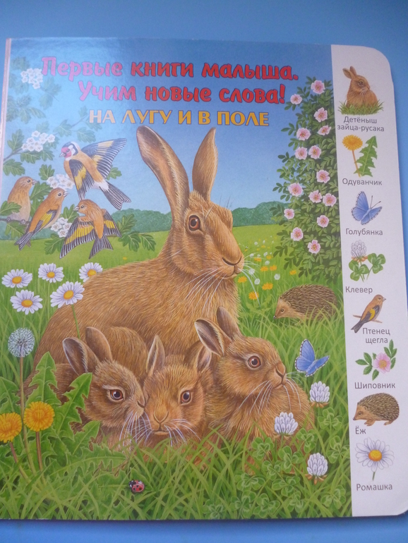 Первые книги малыша. Учим новые слова (бюджетные гляделки, много фото)