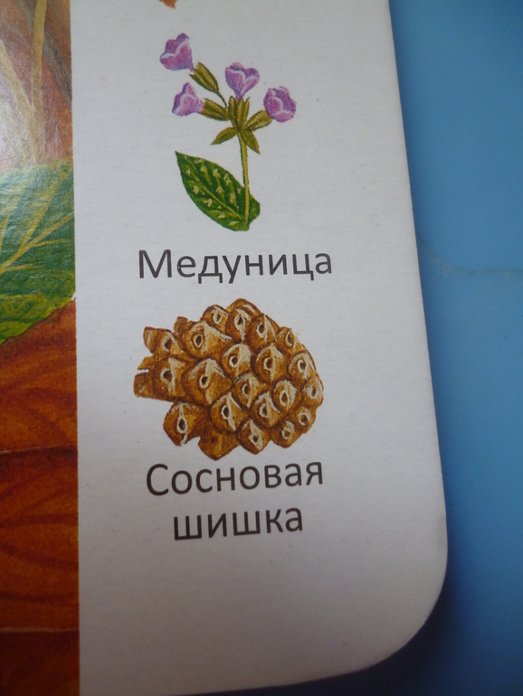 Первые книги малыша. Учим новые слова (бюджетные гляделки, много фото)