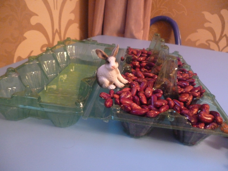 Счетный материал. Морковки