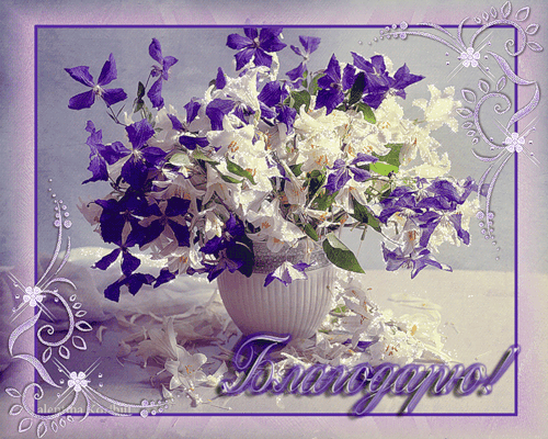 БЛАГОДАРНОСТЬ ЕЛЕНЕ ЗА ПЛАНШЕТ!