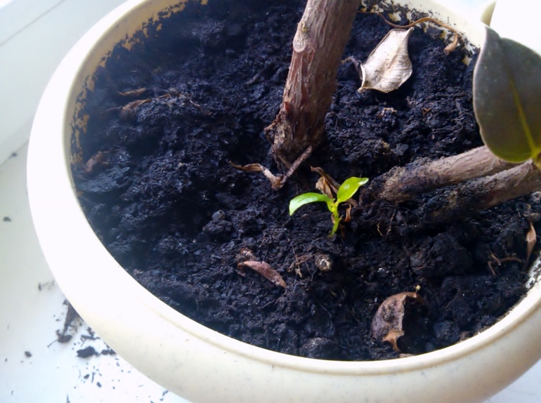 Итак, мы поярчали!!