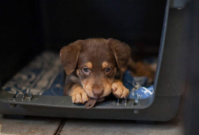 Супер-ребёнок