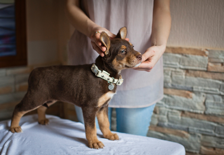 Бьюти в стоечке))