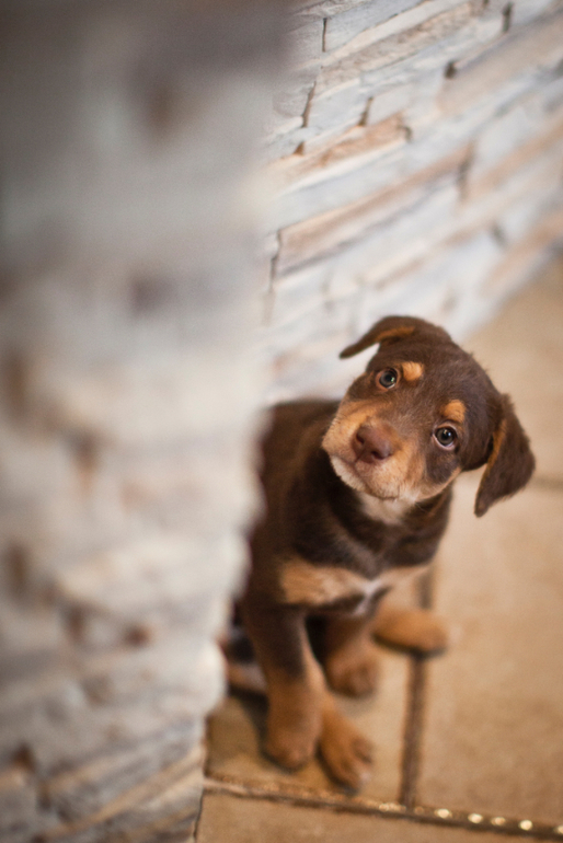 Супер-ребёнок