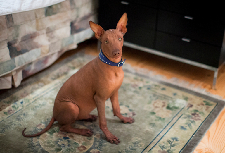 Мой малыш с большущими глазами))