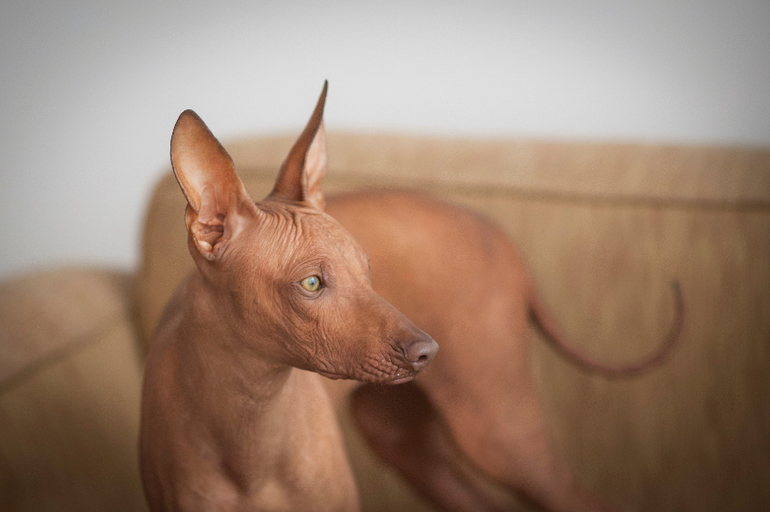 Привет из Перу