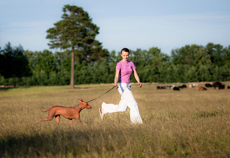 Тренировки в поле))